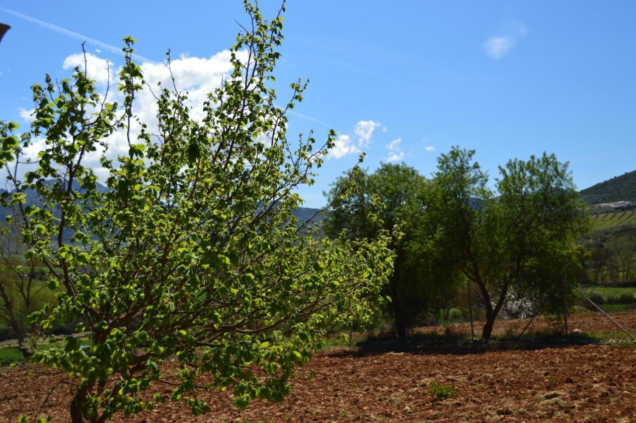 Cortijo Petra Bed & Breakfast Villanueva del Rosario Екстериор снимка
