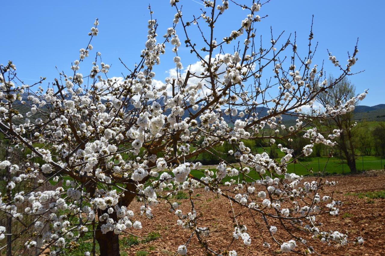 Cortijo Petra Bed & Breakfast Villanueva del Rosario Екстериор снимка