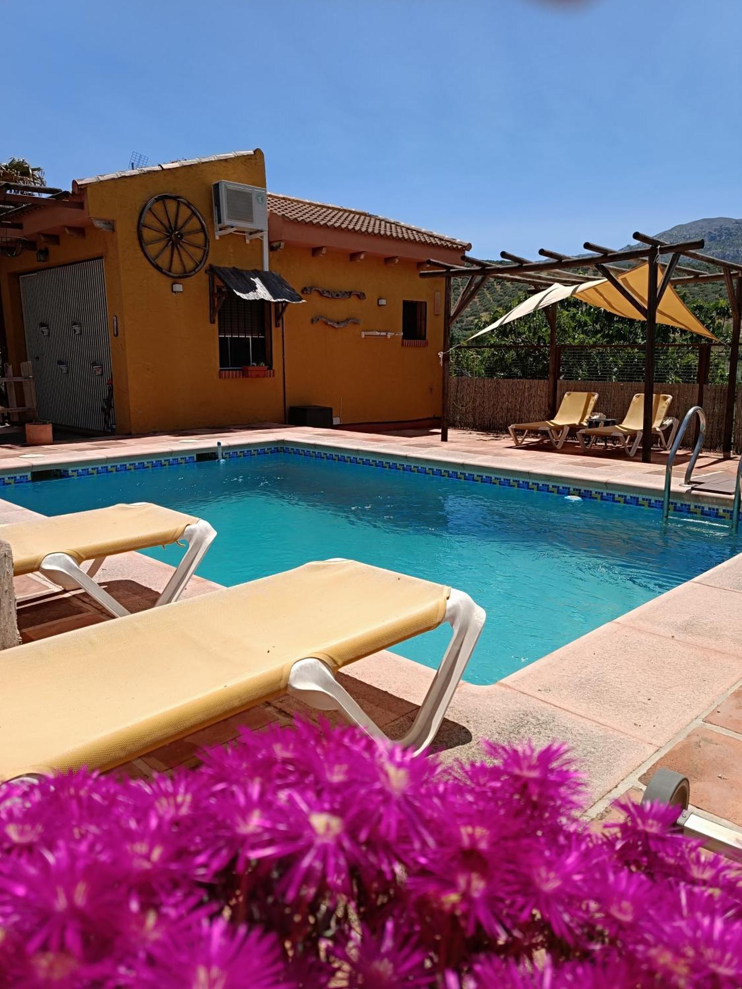 Cortijo Petra Bed & Breakfast Villanueva del Rosario Екстериор снимка